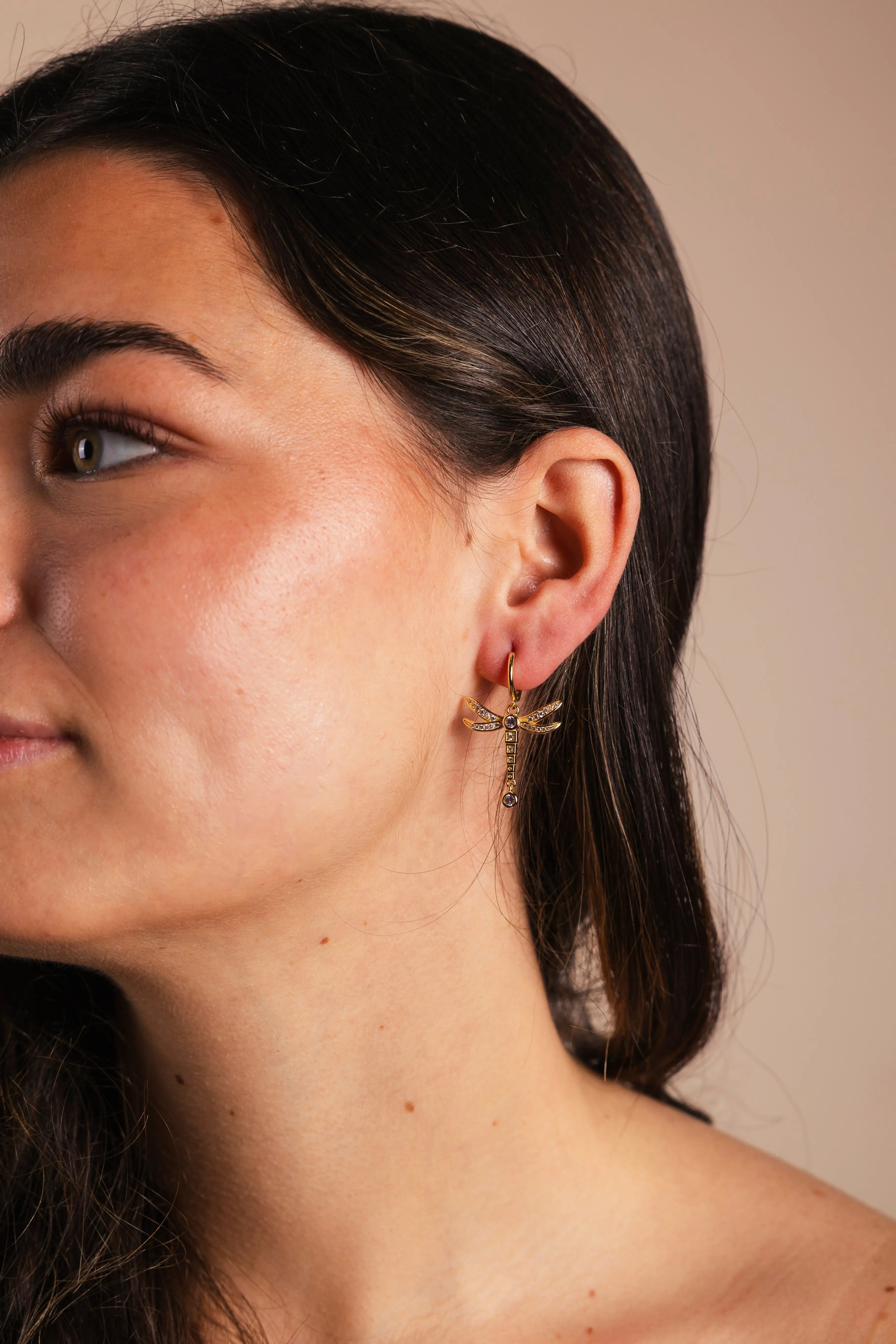 Aros Libélulas Circonitas PEN164 The Nook Store