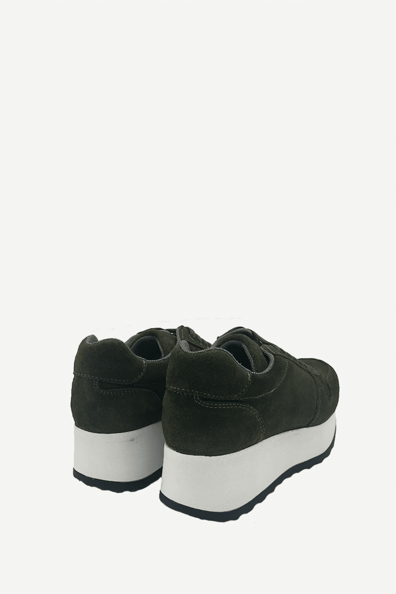 NobelVerde3
