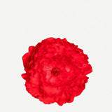 Medium Peony Flower 17T-03