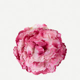 Flor Peonía Mediana 17T-Multirosa