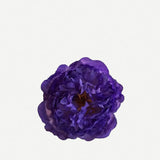 Flor Peonía Pequeña FPP06