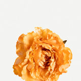 Fleur de pivoine PG46