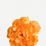 Flor Peonía PM15-The Nook Store