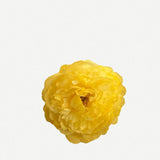 Flor Peonía Pequeña FPP02