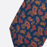 PaisleyAzul3
