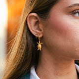 Pendientes Aros Turttle Pen130