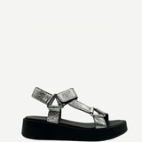 TahoeSilver