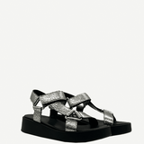 TahoeSilver2