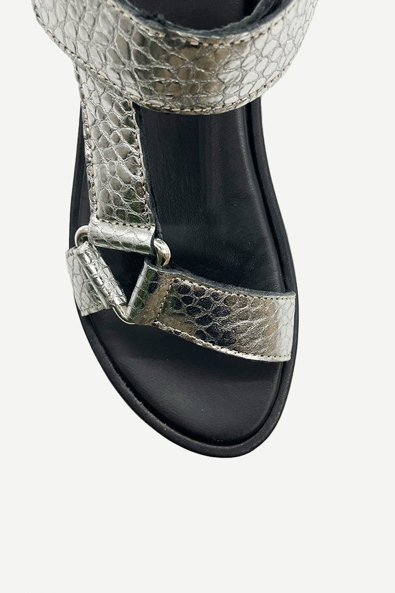 TahoeSilver3