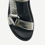 TahoeSilver3