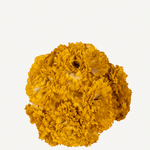 flor clavel 64t-118