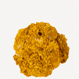 flor clavel 64t-118