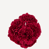 flor clavel 64t freson