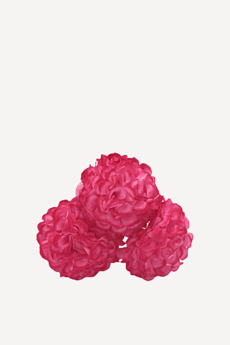 flor evora 17