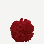 flor evora 18