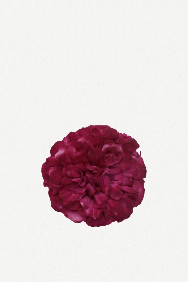 flor evora 22