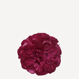 flor evora 22