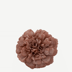 flor evora 23