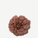 flor evora 23