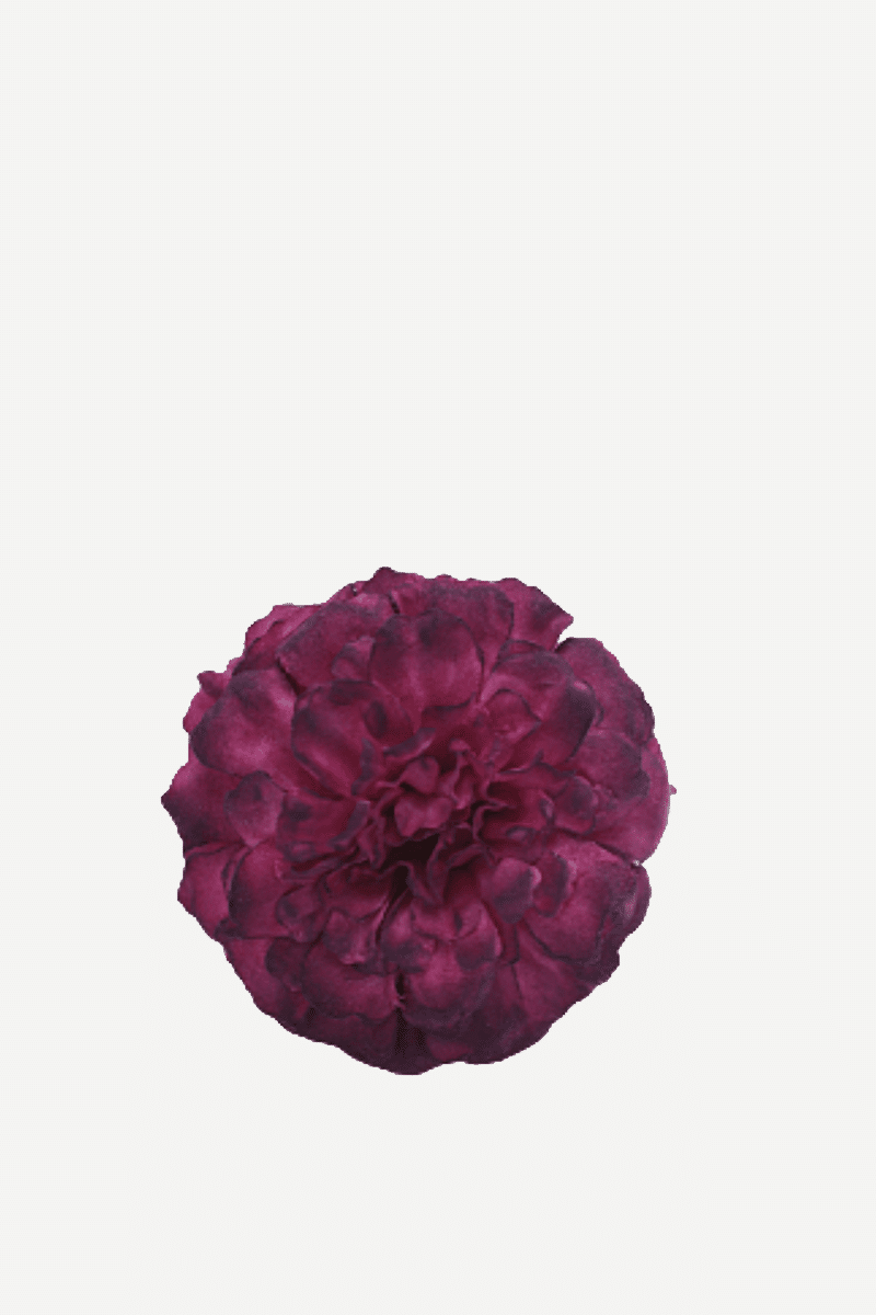 flor evora 6