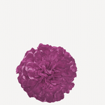 flor evora FN09