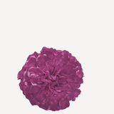 flor evora FN09