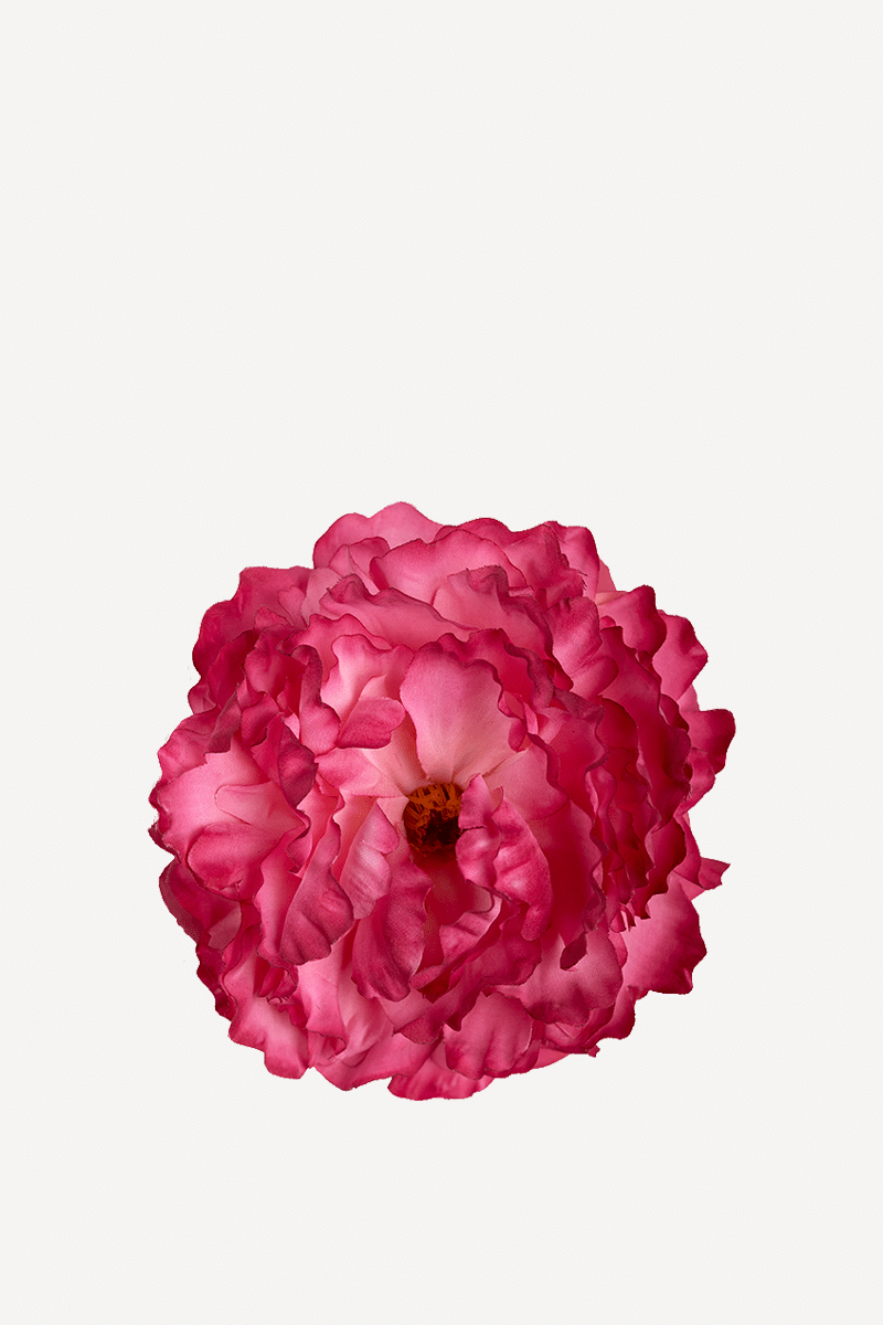 flor peonia mediana 17T-63