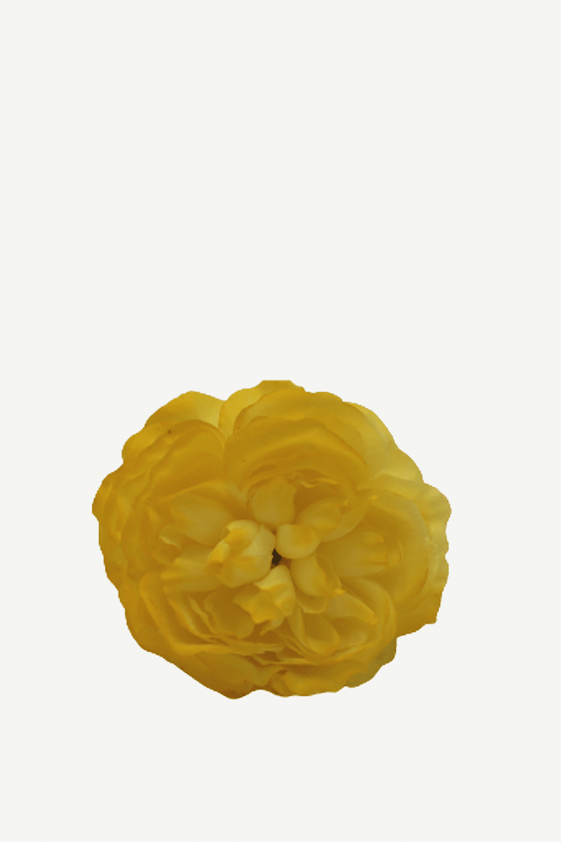 flor sintra f06