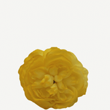 flor sintra f06