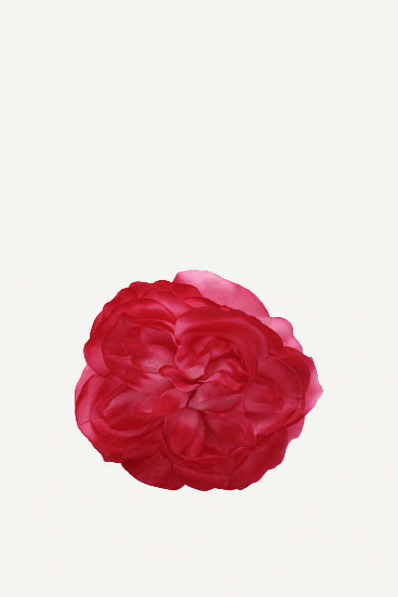 flor sintra f07