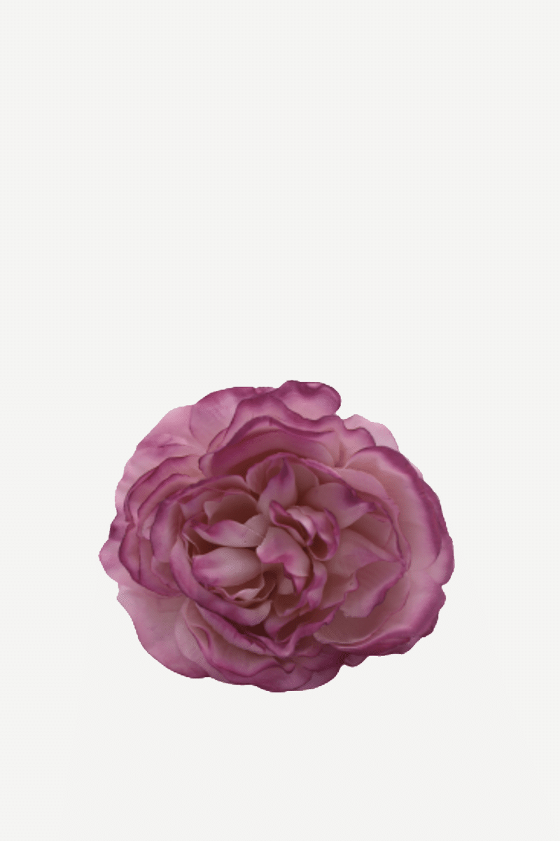 flor sintra f11