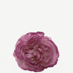 flor sintra f11