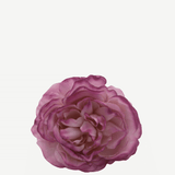 flor sintra f11