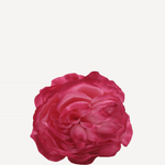 flor sintra f12
