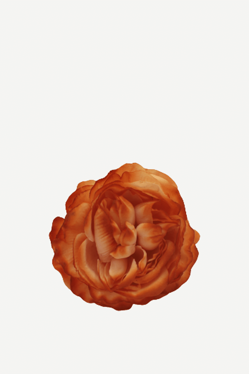 flor sintra f13
