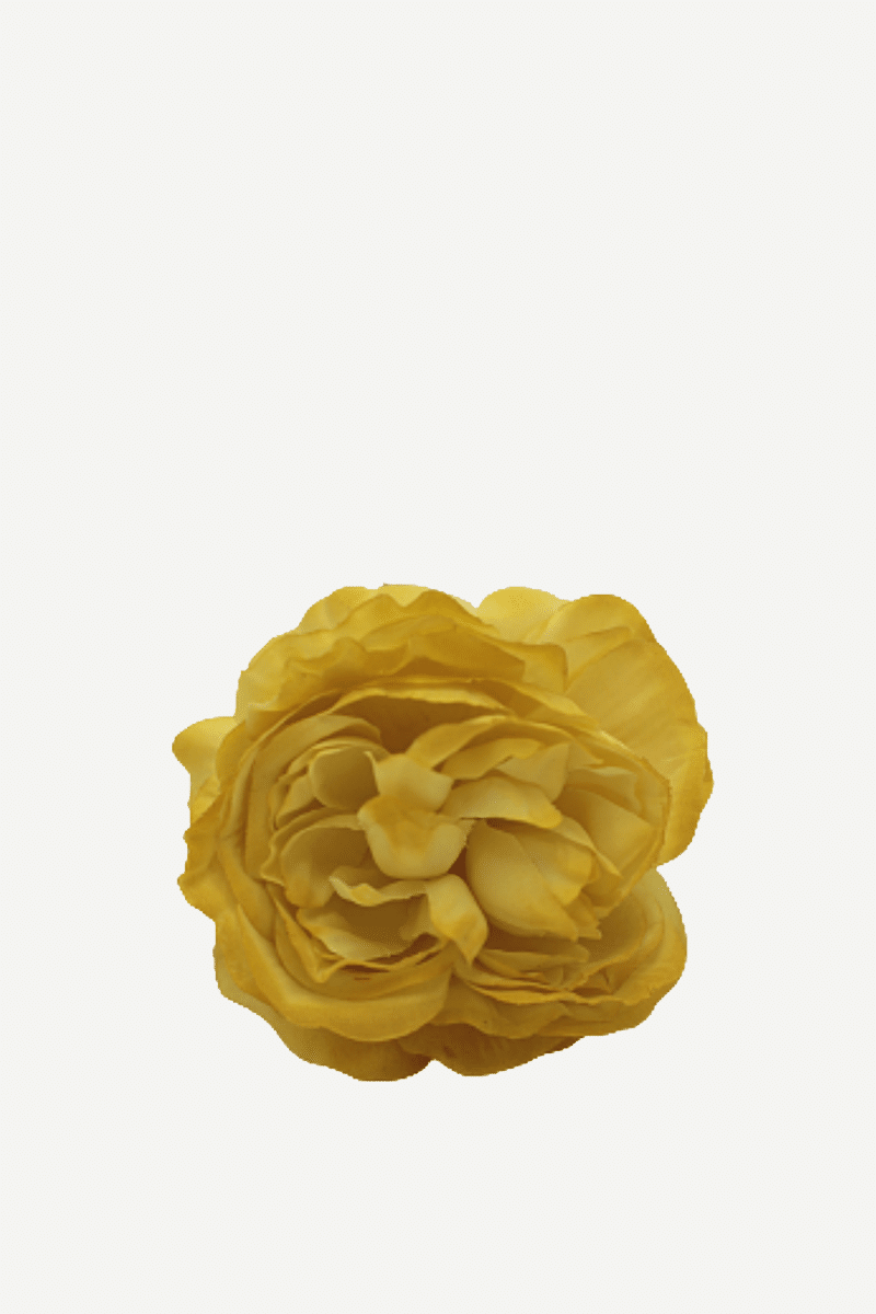 flor sintra f14