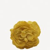 flor sintra f14