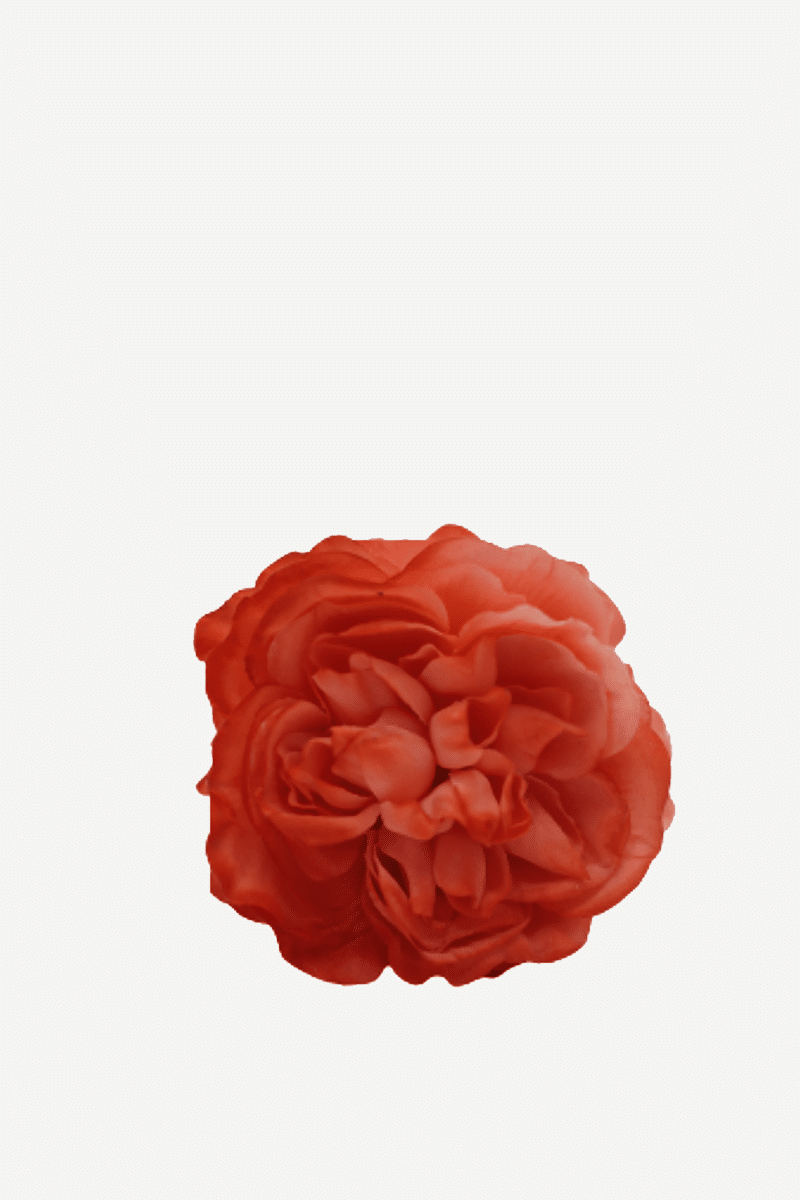flor sintra f18