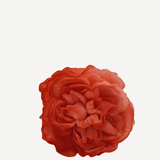 flor sintra f18