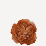 flor sintra f20