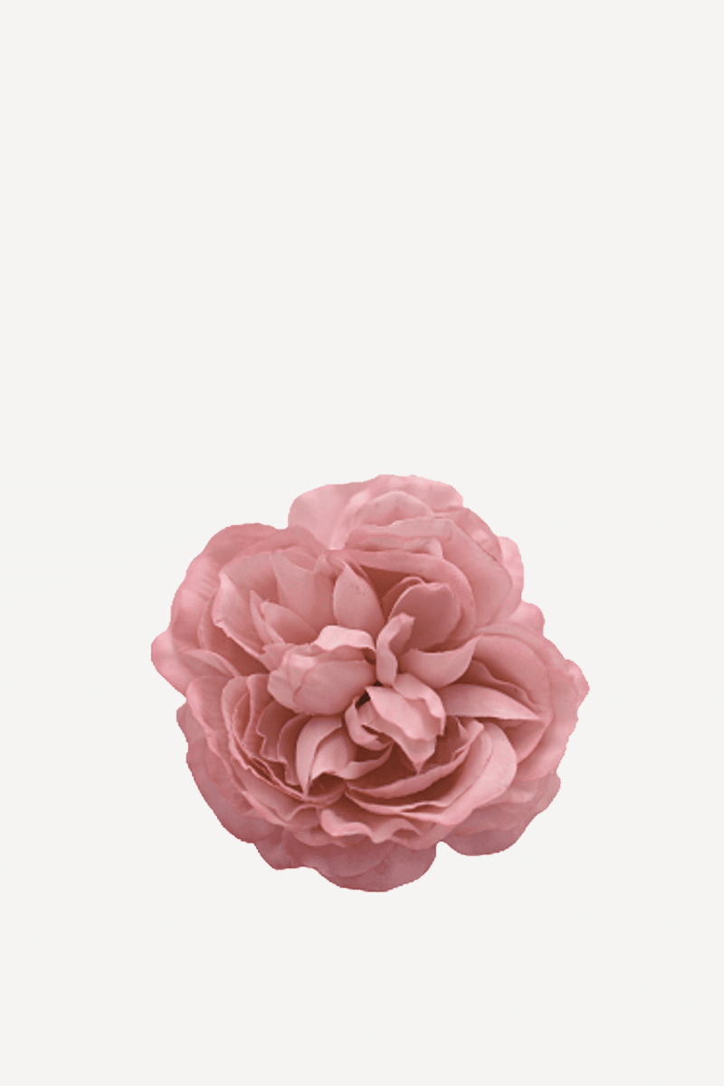 flor sintra f23