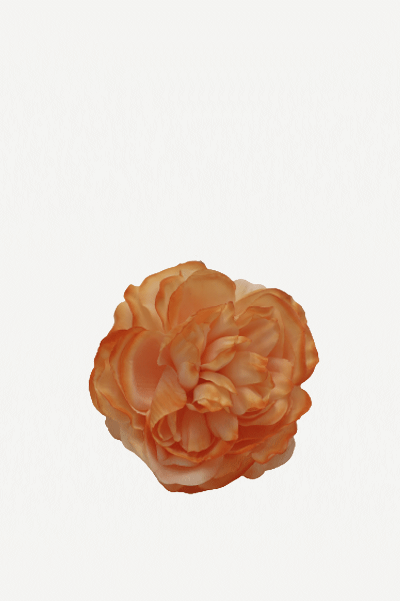 flor sintra f24