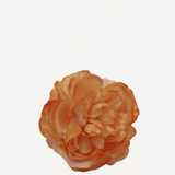 flor sintra f24