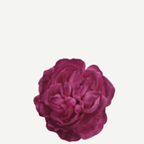 flor sintra f25