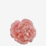 flor sintra f27