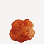 flor sintra f28