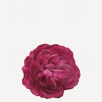 flor sintra f29