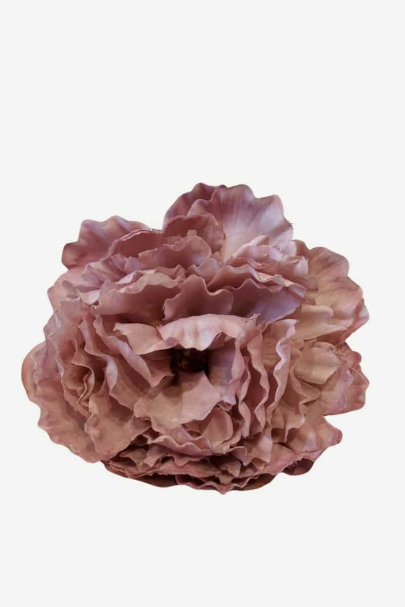 peonia p34