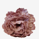 peonia p34