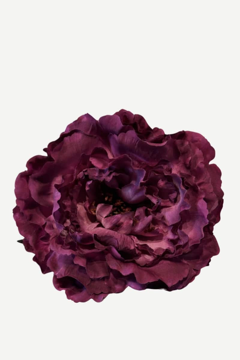 peonia p36